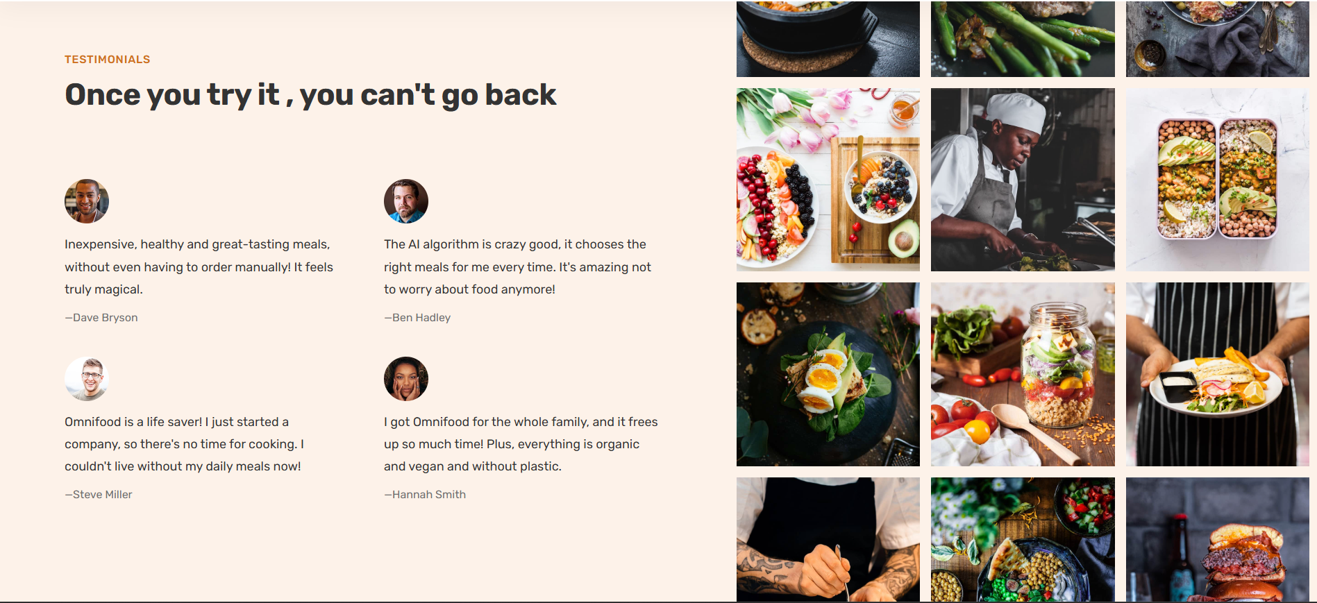 Omnifood preview