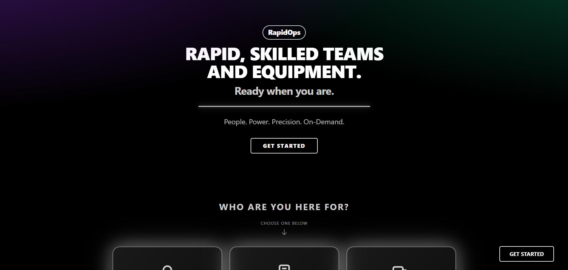 RapidOps Landing Page preview